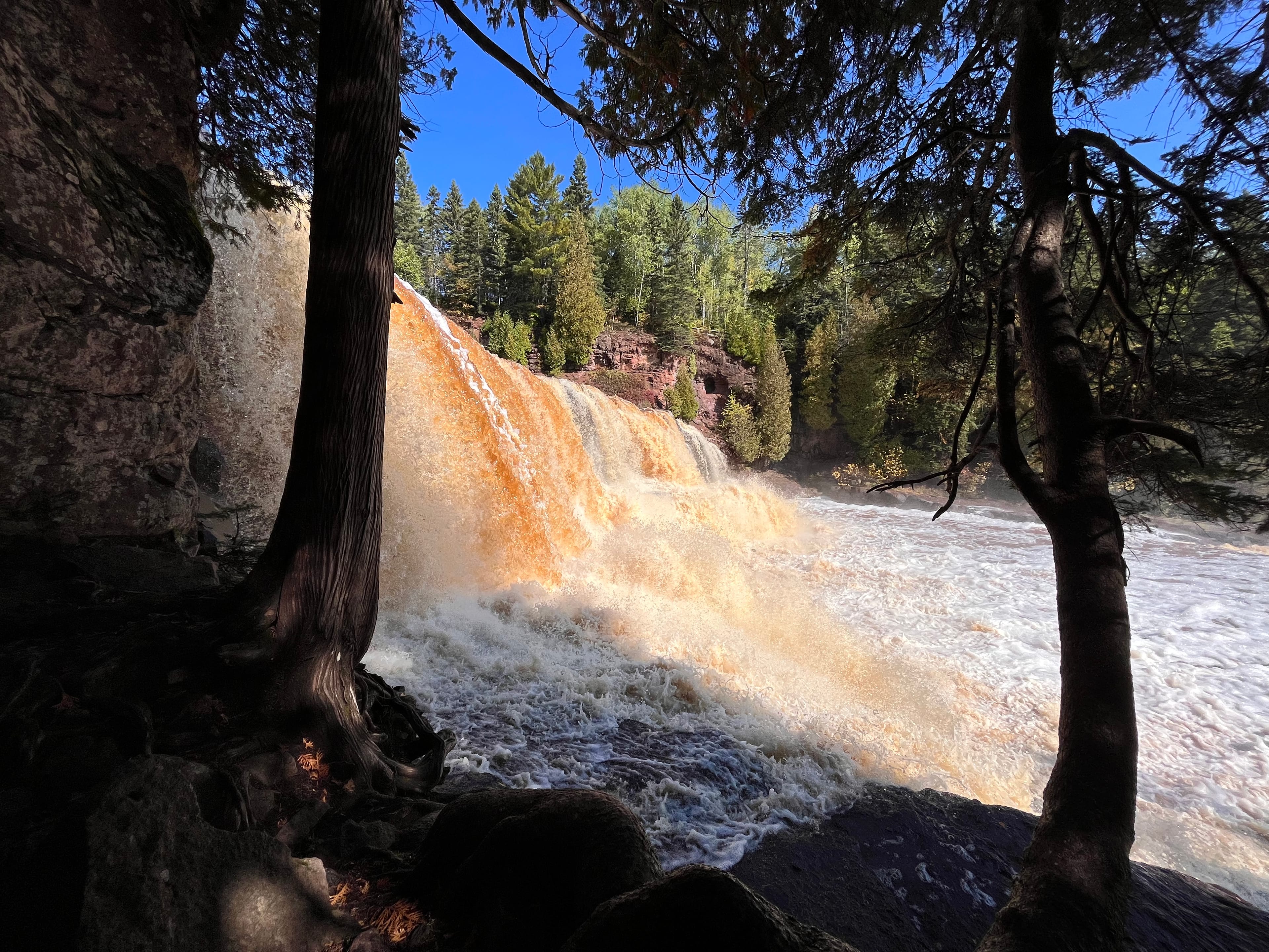 A broad, muddy wall of water rushes down a waterfall between rocky shores covered in pine trees